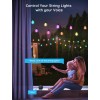 Warm White Wi-Fi & Bluetooth Smart Outdoor String Lights with RGBIC Technology [Energy Class F]